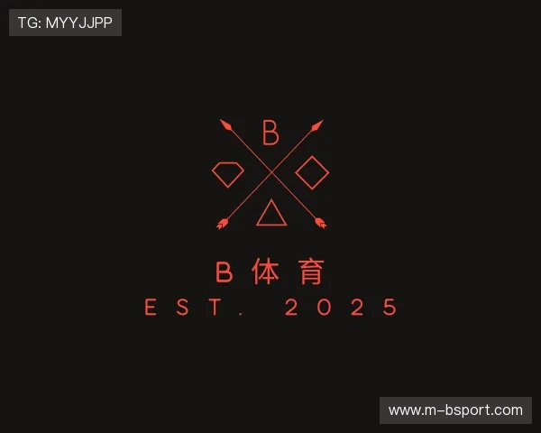 解读b体育公司
